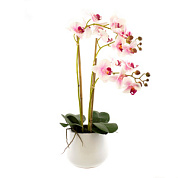 Орхидея х3 в кашпо, 61 см, белый/розовый/12шт. в интернет-магазине флористических аксессуаров Азалия Декор